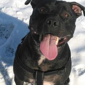 Meet your Posher, Matt